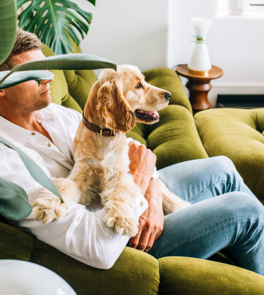 NOOD Pet Food ZURU Edge